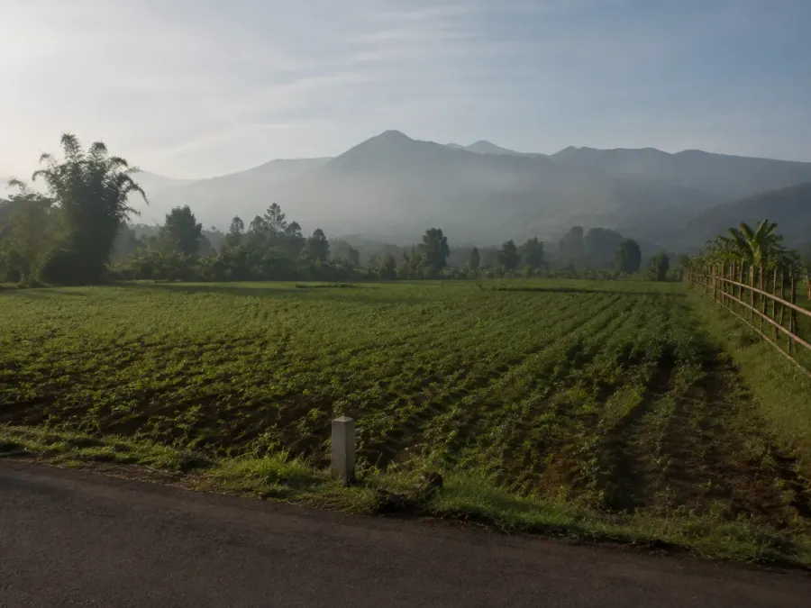 Batas bidang tanah di Junrejo